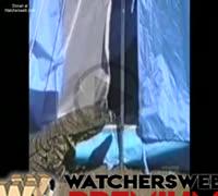 Goanna In Tent Prank