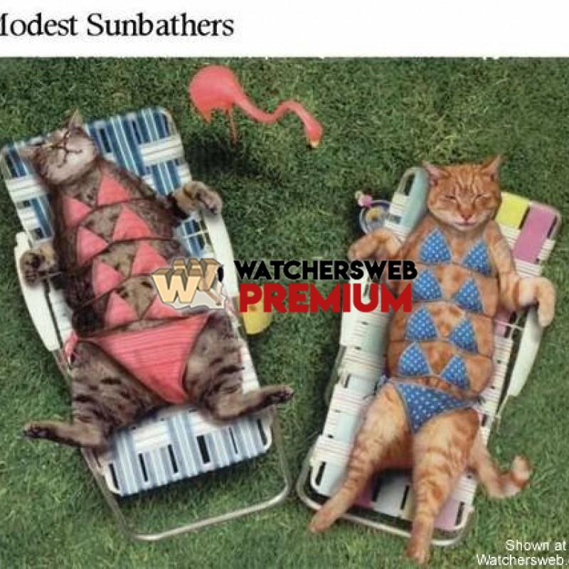 Modest Sunbathers - p - Stumper - Canada