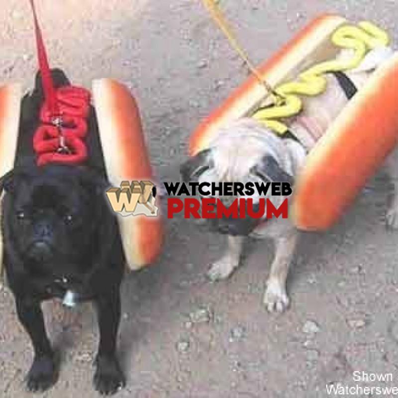 Hot Dogs - p - Jeff - USA