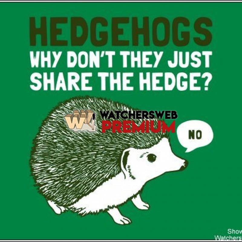 Hedgehogs - c - Jermaine