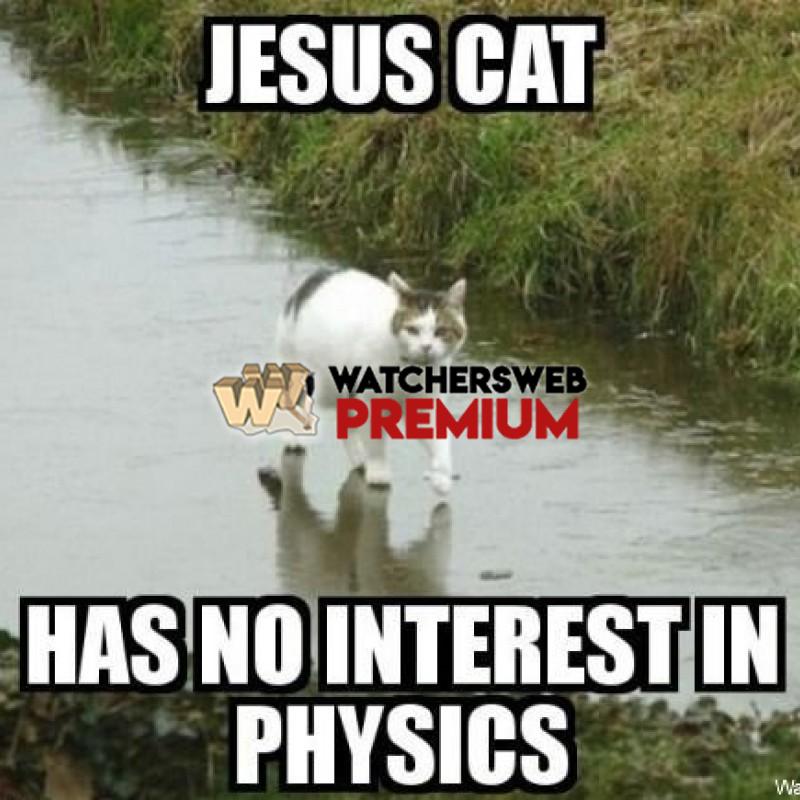 Jesus Cat - p - Jermaine