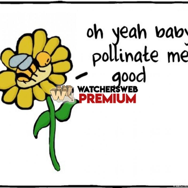 Pollinate Me - c - Jermaine