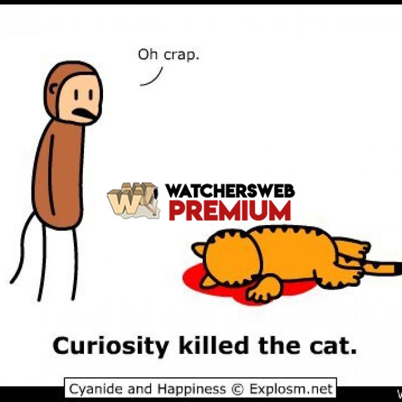 Curiosity Killed The Cat - c - Jermaine