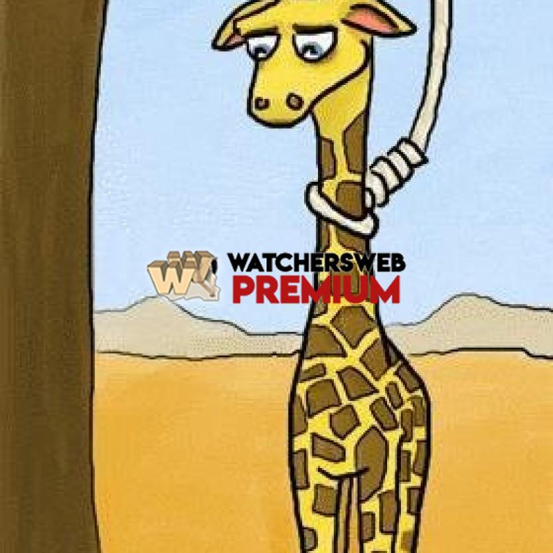 Suicidal Giraffe - c - Jermaine