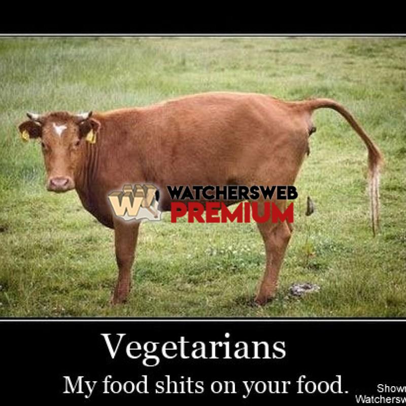 Vegetarian's Food - p - Mustang - USA