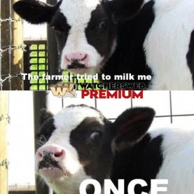 Milked - p - Jermaine