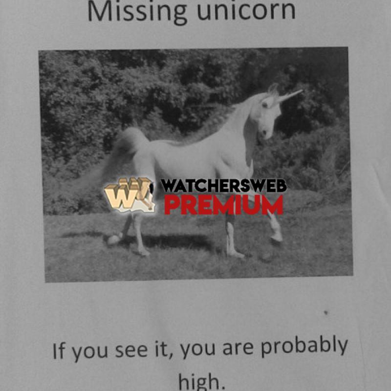 Missing Unicorn - p - Jermaine