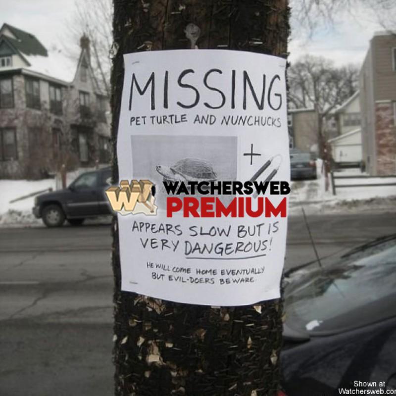 Missing - p - Jermaine