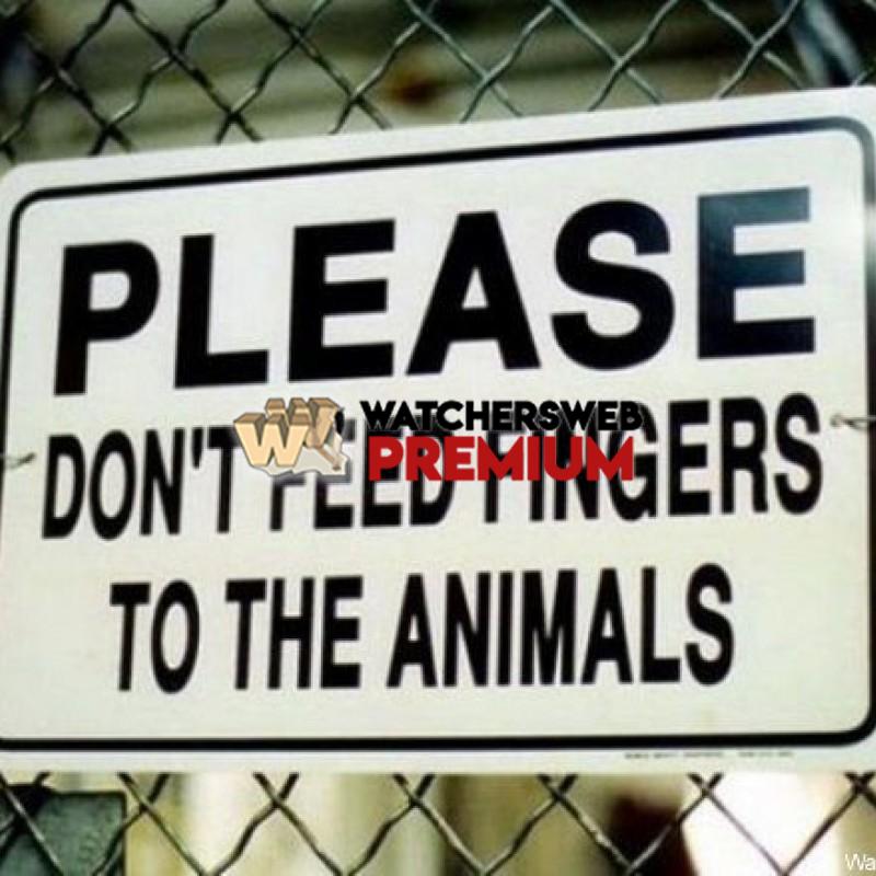 Don't Feed The Animals - p - Jermaine