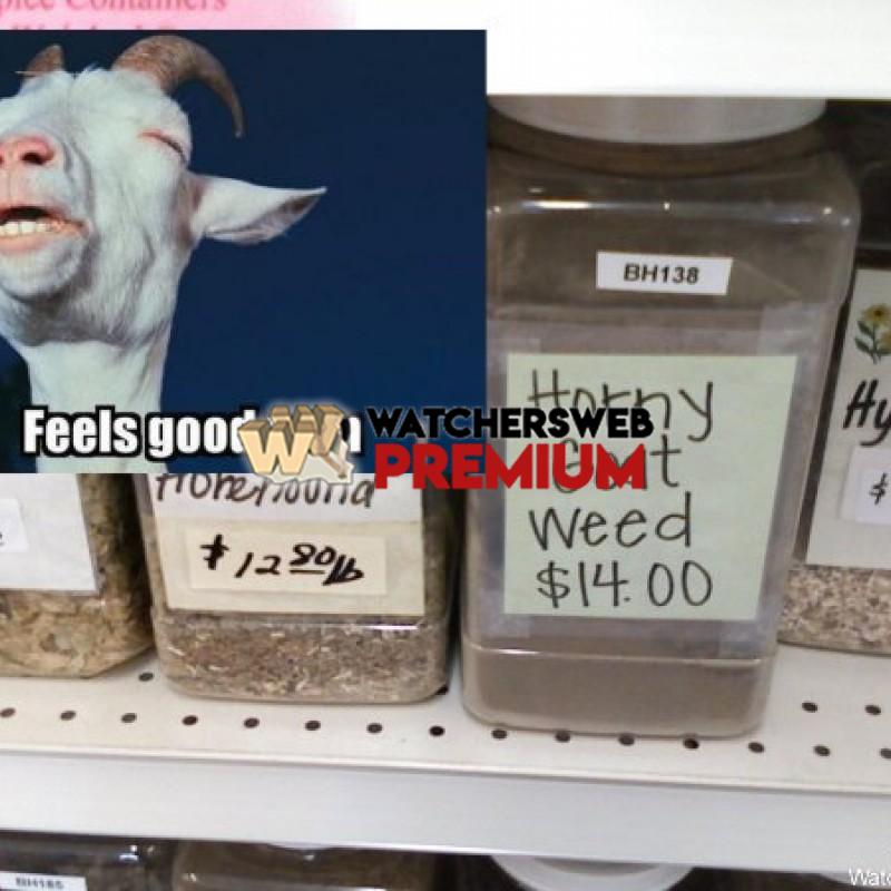 Goat Weed - p - Jermaine