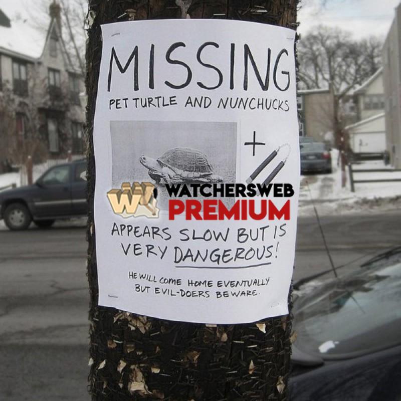 Missing - p - Jermaine