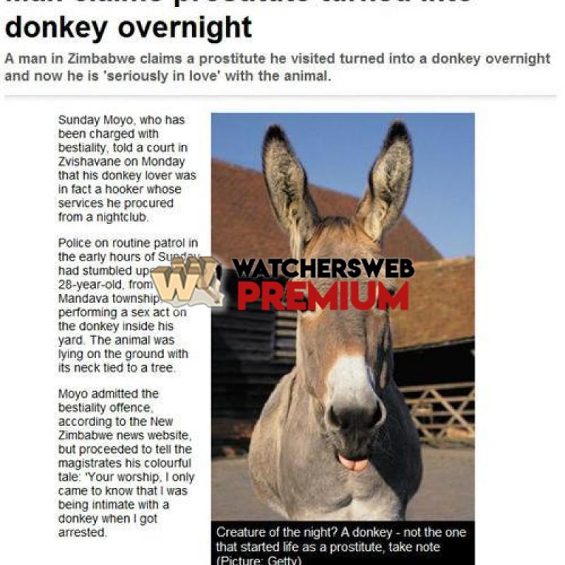 Donkey Love - p - Jermaine