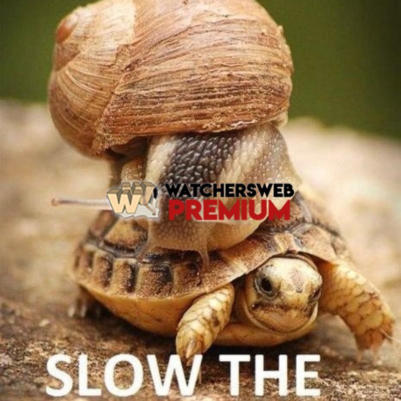 Slow Down - p - Jermaine