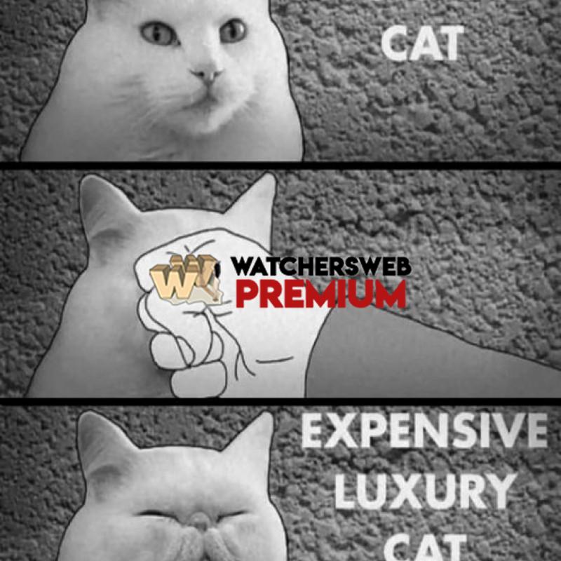 Expensive Cat - p - Jermaine