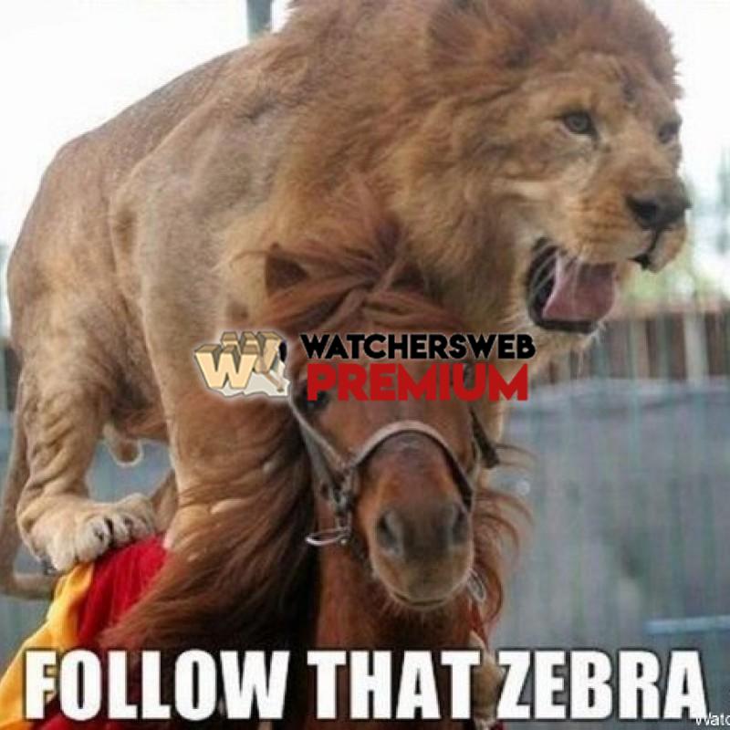 Follow That Zebra - p - Jermaine