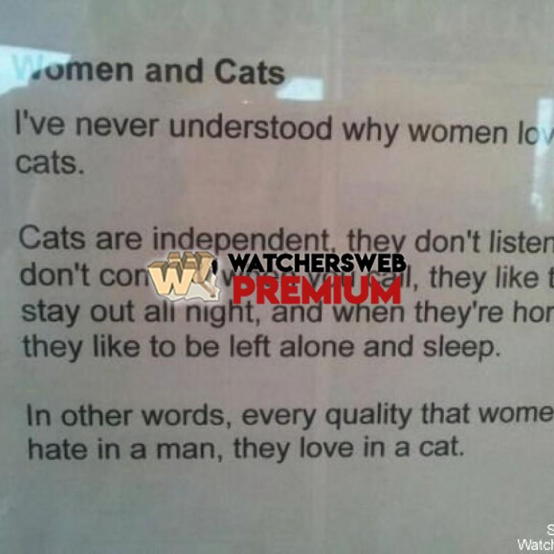 Women & Cats - p - Jermaine