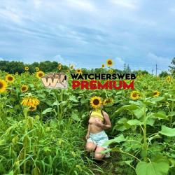 Out With The Sunflowers - UK