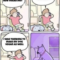 Vegan Diet