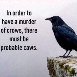 Probable Caws