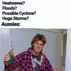 Aussies