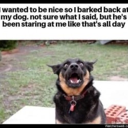 Barked Back