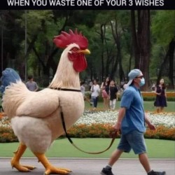 Wasted A Wish