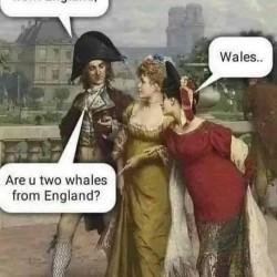 Whales